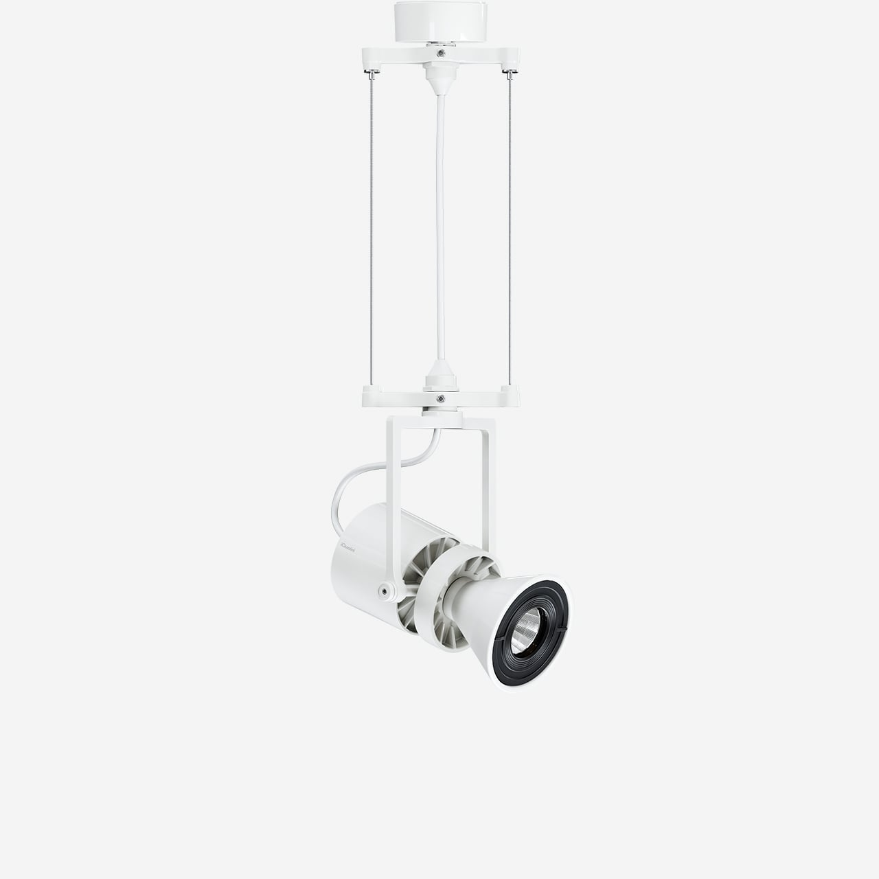Le Perroquet superficie ø55mm suspensión