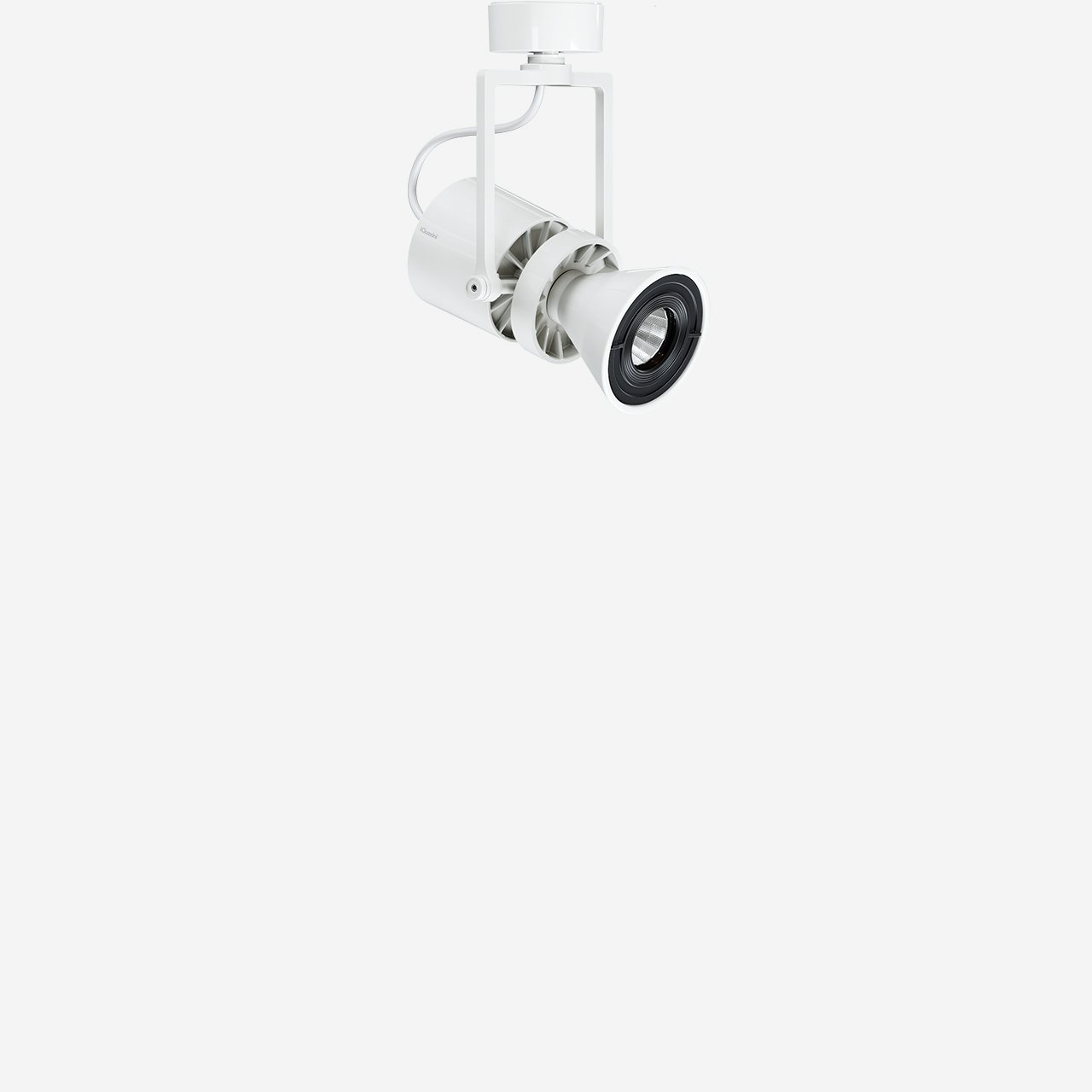 Le Perroquet superficie ø55mm