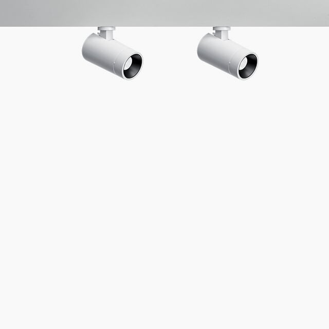 Palco Low Voltage double spotlight Ø¾" (19mm)