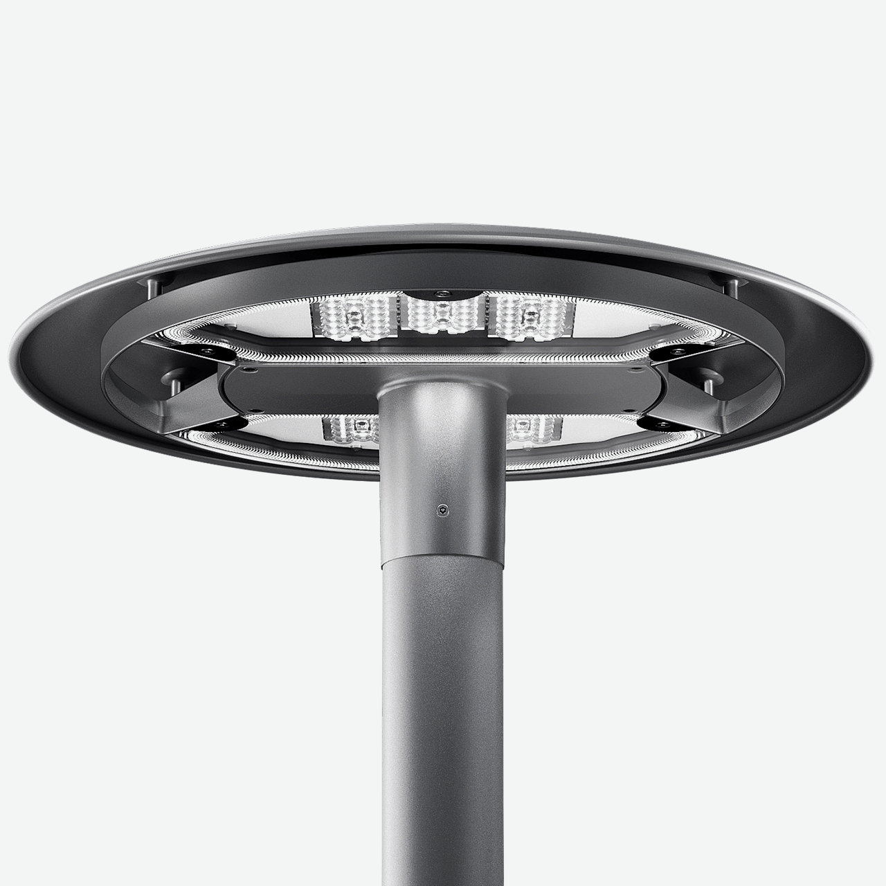 Twilight Kyoto pole-top